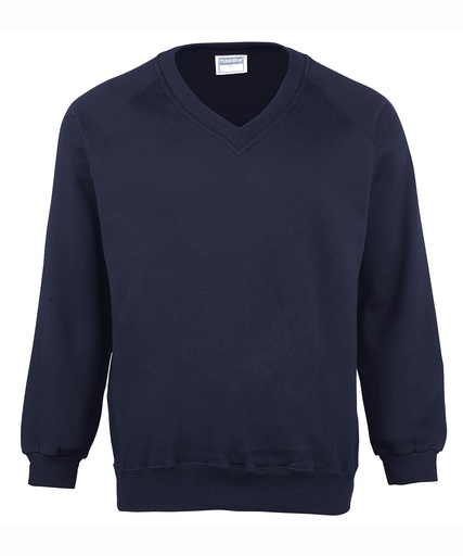 [MD02MNAVYS] Coloursureô v-neck sweatshirt (Navy, S)